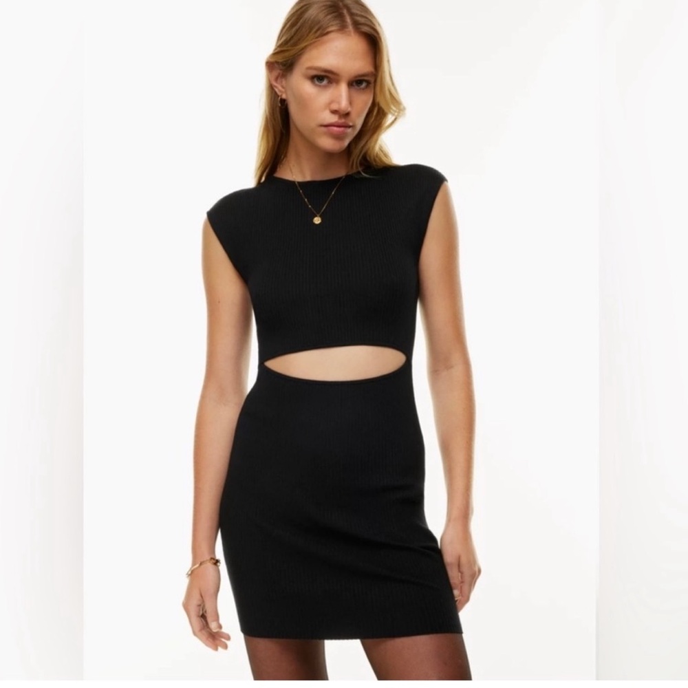 Aritzia Wilfred Cut-Out Knit Mini Dress